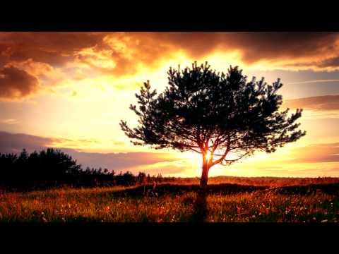 Neutralize feat Veela - Crayen