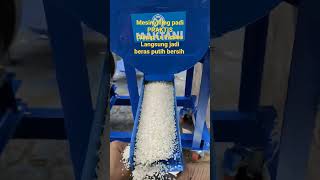 Download lagu mesin giling padi Praktis, cukup 1x proses langsung menjadi beras putih bersih 081333251988 mp3 Download lagu mesin giling padi Praktis, cukup 1x proses langsung menjadi beras putih bersih 081333251988 mp3