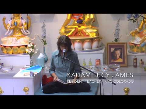 The Faults of Jealousy - Kadam Lucy James