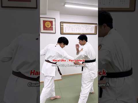 【払い受け : Parry Block】 #大谷道場 #空手 #karate #martin #shorts