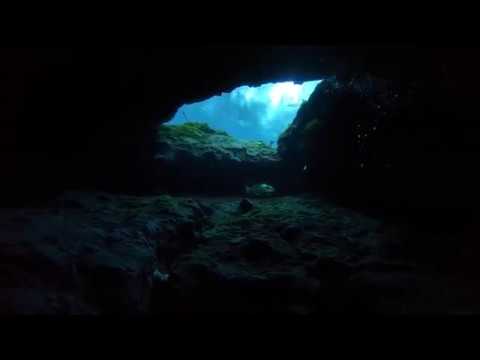 Cypress Springs Cave Dive