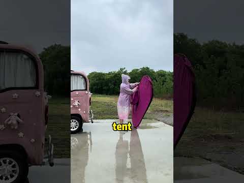 Her tiny house on wheels is equipped with a kitchen, bed, television, and toilet