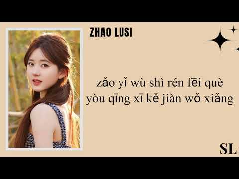 【𝐏𝐢𝐧𝐘𝐢𝐧】Water Fountain - Alec Benjamin【Ft. Zhao Lusi】Lyrics Pinyin