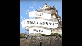 2026千葉城さくら祭りライブ！　ギター弾き語り！【時ちゃん】