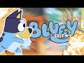 Okay So I Edited BLUEY 2