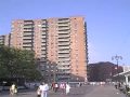 Coney Island Jun 7 2009h