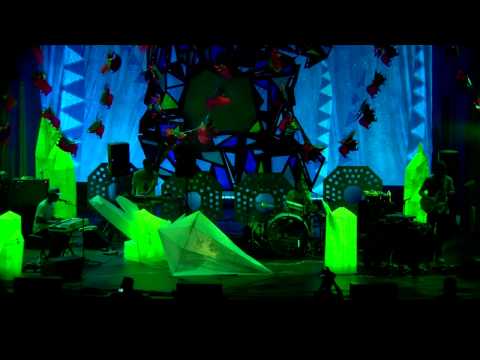 Animal Collective Live at Prospect Park (Centipede Hz DVD)
