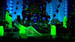 Animal Collective Live at Prospect Park (Centipede Hz DVD)