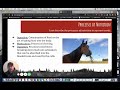 Vet Science Animal Nutrition What Is Nutrition Processes Of Nutrition
