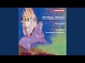 Symphony: I. Allegro molto agitato - Poco più mosso ma tranquillo - Più mosso - Allegro