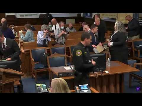 Kyle Rittenhouse Trial: Day 8