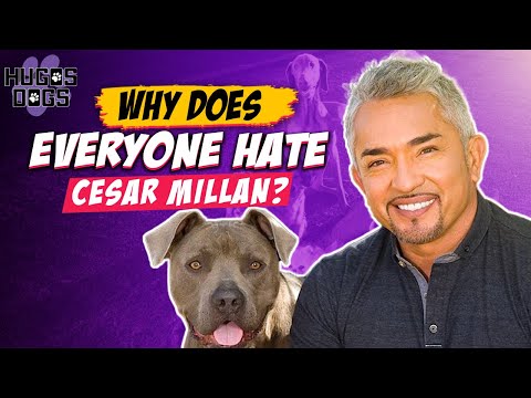 The Controversial Cesar Millan | The Dog Whisperer