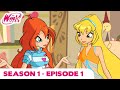 Winx Club - Season 1 Episode 1 - An Unexpected Event - [FULL EPISODE]