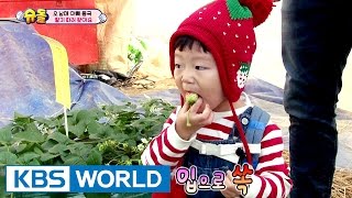 The Return of Superman | 슈퍼맨이 돌아왔다 - Ep.173 [ENG / 2017.03.19]