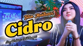 Download lagu Cidro - Intan Mandasari (COVER) mp3 Download lagu Cidro - Intan Mandasari (COVER) mp3