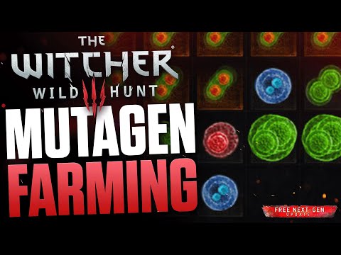 You NEED THIS - The Witcher 3 Farming Mutagens Tipps - Red, Green & Blue Greater Mutagen