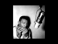 Muddy Waters - Baby Please Don't Go 