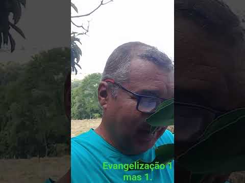 #fe #vida #paz #deus #vidaeterna #reflexão