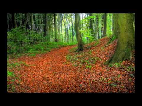 Monk On Acid - A Trip to Pluto #182 - Irrelevant (Ambient / IDM / Drone / Relaxing Mix)