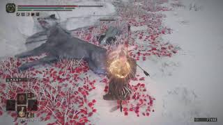 エルデンリング