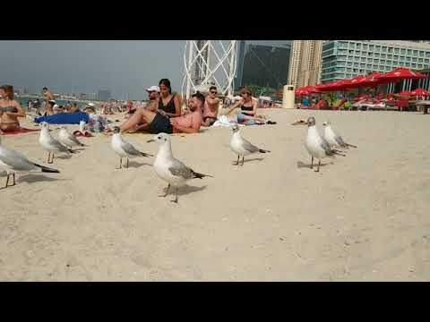 Пляж Дубаи 2