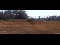 Bill Dixon 1100ft Stoppie!!!!!