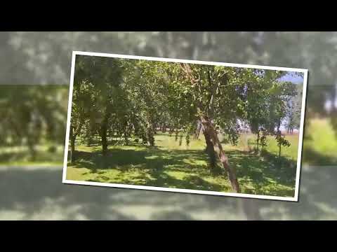 Z cyklu Klimaty Podlasia na naszym Agro   Koszenie Sadu