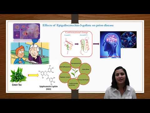 FAU 2021 3MT Competitor: Deepika Regmi