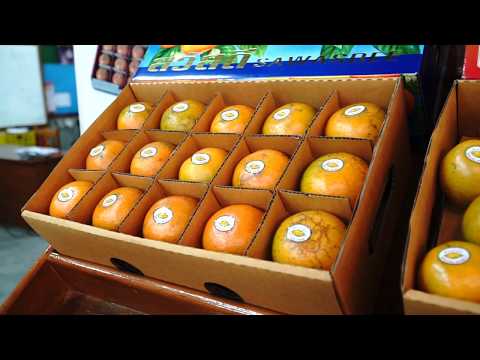 สวนส้มธนาธร