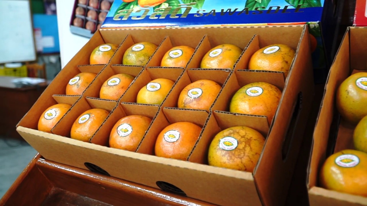 Thanathorn Orchard