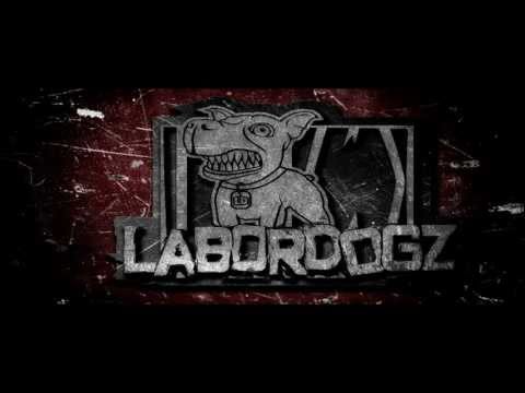 LABORDOGZ - Hundesohn