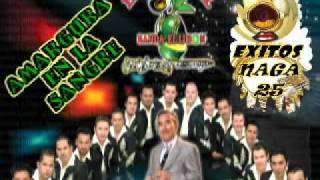 AMARGURA EN LA SANGRE-LA ORIGINAl BANDA EL LIMON---EXITOS NAGA 25.flv