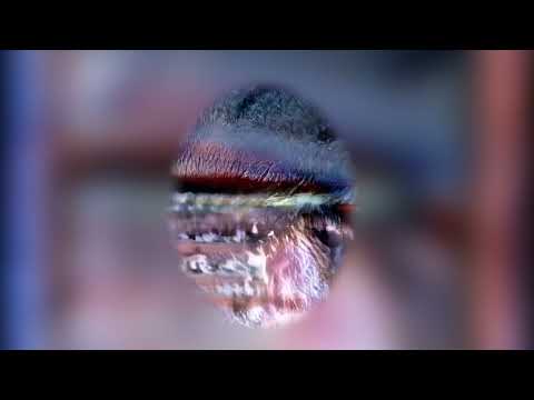 Ike – Fight Day (PREMIERE)