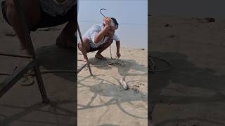 Catfish Bait fishing for giant fish hunting #bait #lurefishing