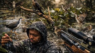 Download lagu BERBURU BURUNG RAWA‼️ANTI ZONK  BERBURU RUAK RUAK MANDAR BATU DAN BURUNG PERCUK mp3