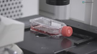 Cancer screening gaps, testosterone label changes and a rare summer threat