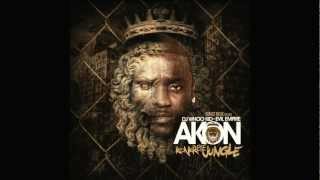 Akon - Samn Damn Time Feat Future (Remix) HD 2012 &quot;Konkrete Jungle&quot;