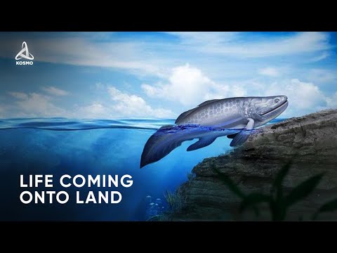 How did Life Come onto Land?