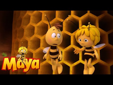 Flying licence - Maya the Bee - Episode 22