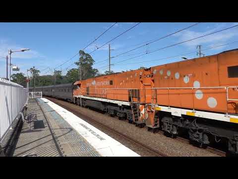 NR31 & NR30 with PN 6KB8 Great Southern - 21/12/25