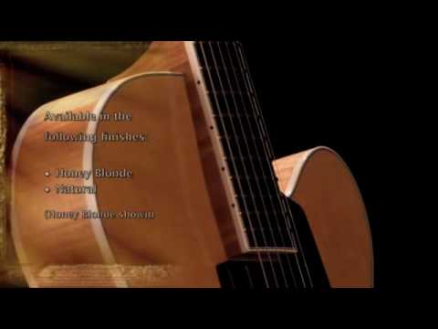 Benedetto Guitars: The Bravo