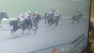 #中京競馬 #万馬券 　総流しの極み
