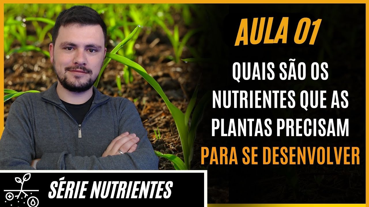 SÉRIE NUTRIENTES: Quais Nutrientes as plantas precisam para se desenvolver