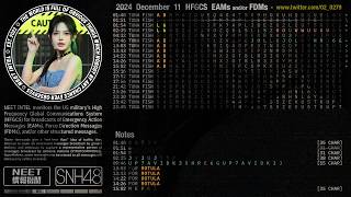 241211