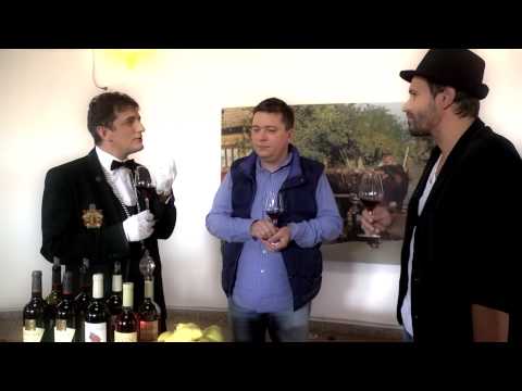 Degustare Pinot Noir Crama Oprisor