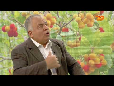 Ne Shtepine Tone, 17 Nentor 2016, Pjesa 2 - Top Channel Albania - Entertainment Show