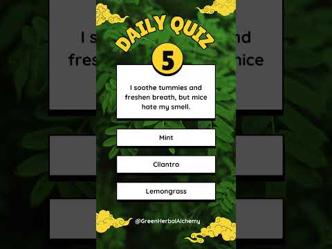 Herb Riddles: The Minty Fresh Challenge!