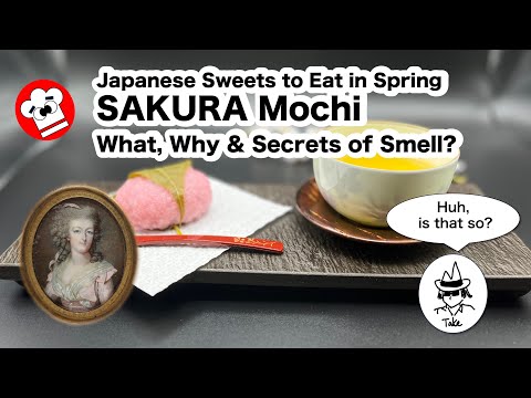 [HOW to ENJOY] SAKURA mochi*.  Japanese Sweets to Eat in Spring.   *Cherry blossom rice cake.
