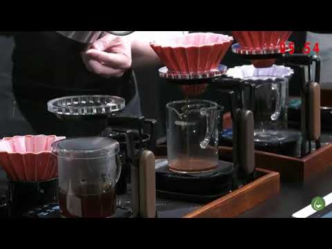 WORLD BREWERS CUP CHAMPIONSHIP 2019 finalist  SHIH YUAN HSU TAIWAN