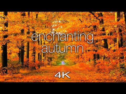 ENCHANTING AUTUMN in 4K UHD - 1 Hour of Amazing Fall Nature Scenes + Spa Music by Nature Relaxation